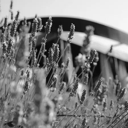 فندق Boutique Valsabbion